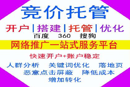 案例研究：SEM优化助力品牌知名度