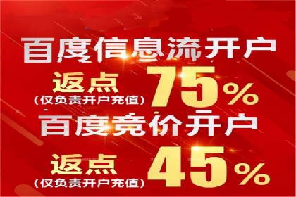 百度竞价推广公司经典案例解析：广告投放策略的智慧